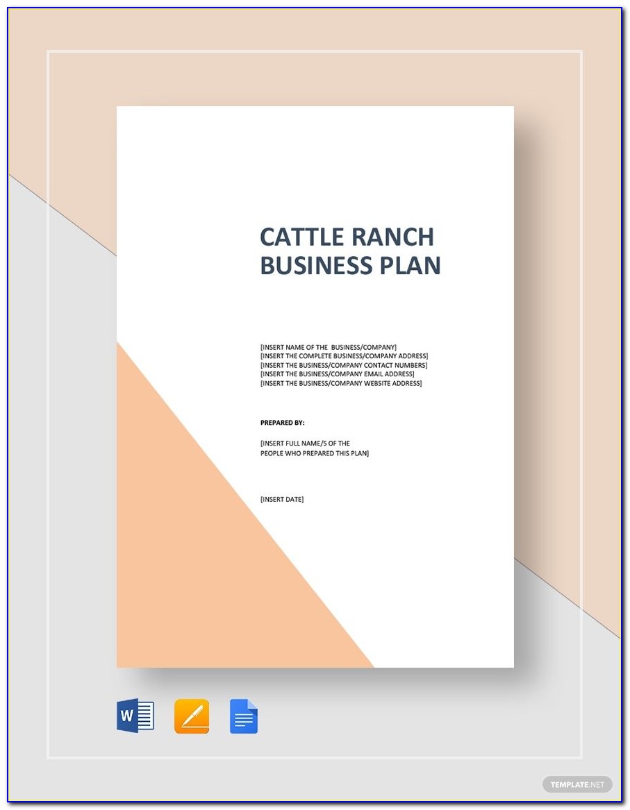 Cattle Ranch Business Plan Sample