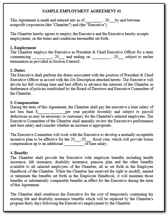 Ceo Employment Agreement Sample