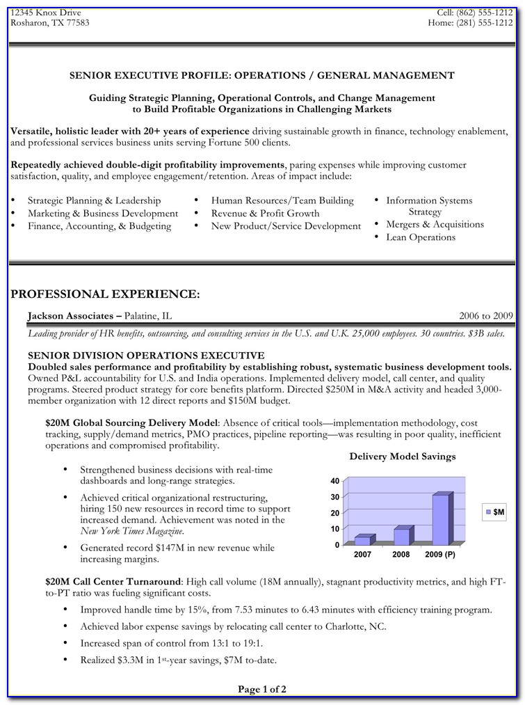 Ceo Resume Template Doc