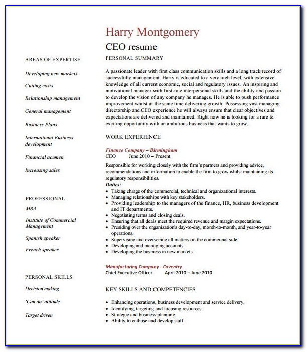 Ceo Resume Template Word