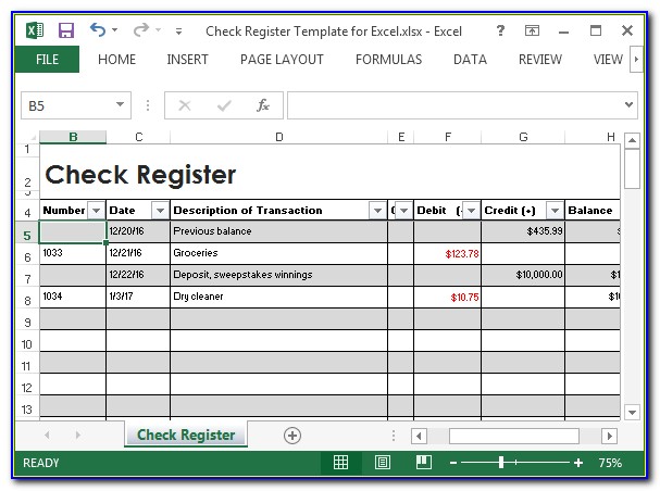Check Register Template Excel 2010