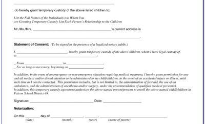 Child Custody Agreement Letter Template