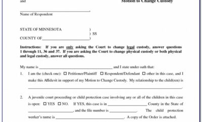 Child Support And Custody Agreement Template