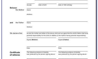 Child Support And Visitation Agreement Form