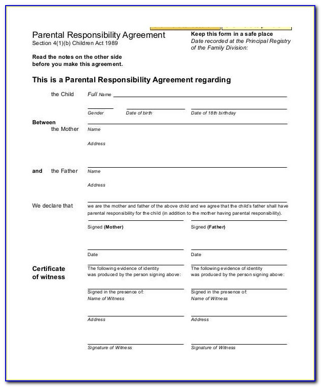 Child Support And Visitation Agreement Form