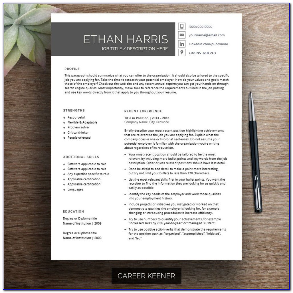 Chronological Resume Template 2017 Download