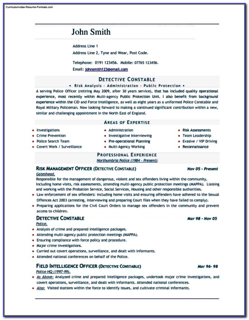 Chronological Resume Template Download