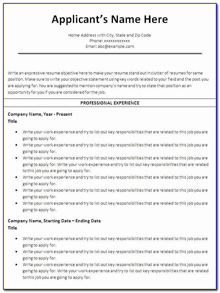 Chronological Resume Template Word 2007