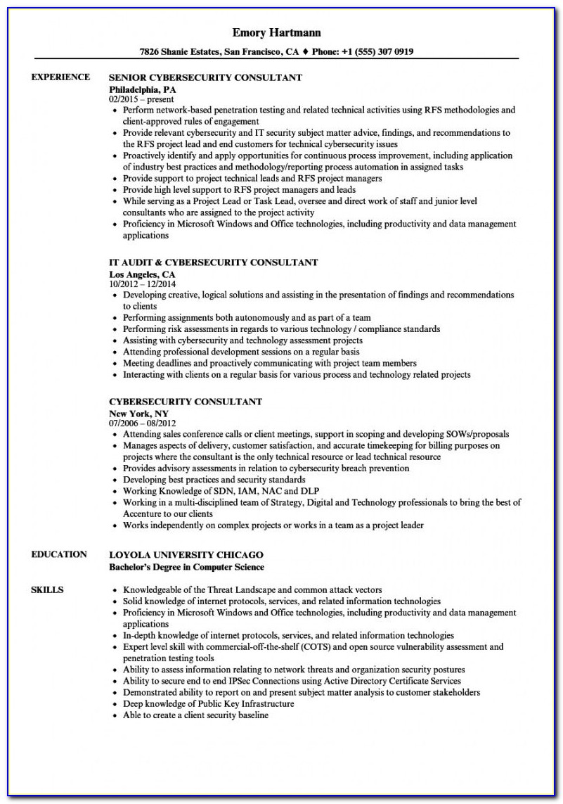 Consulting Business Plan Sample Pdf