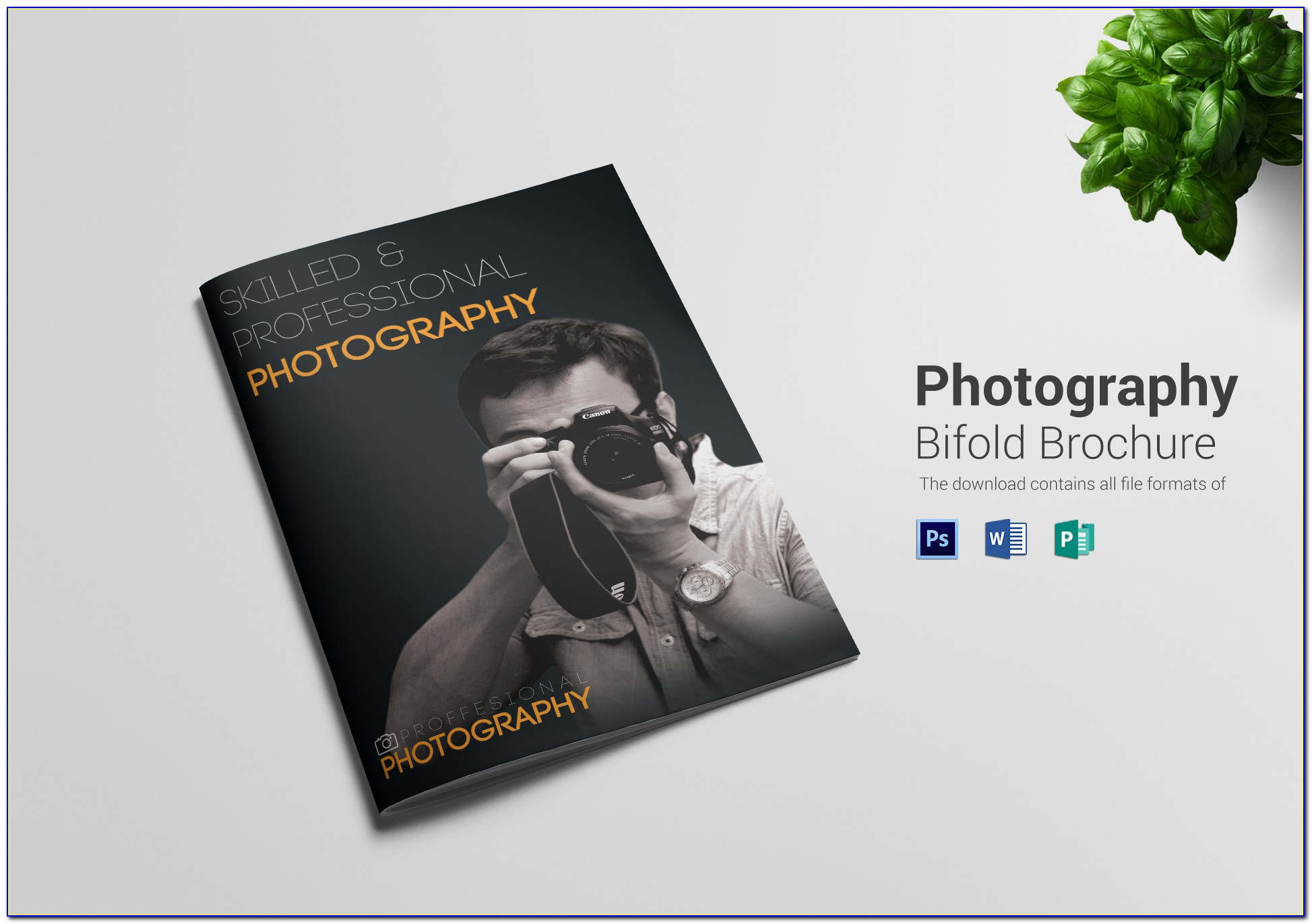 A4 Bi Fold Brochure Template Psd Free Download