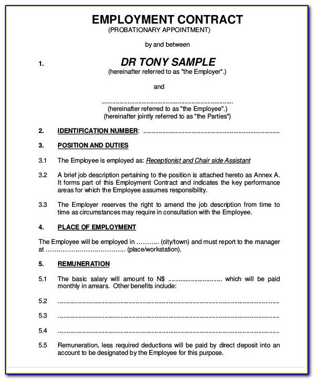 Basic Employment Contract Template South Africa
