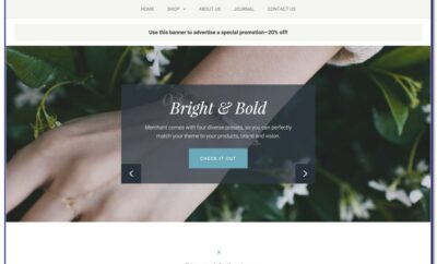Bigcommerce Theme Free Download