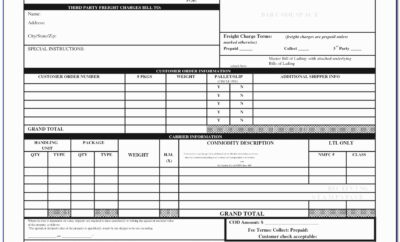 Bill Of Lading Form Word Document