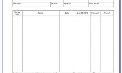 Blank Pay Stub Template Excel