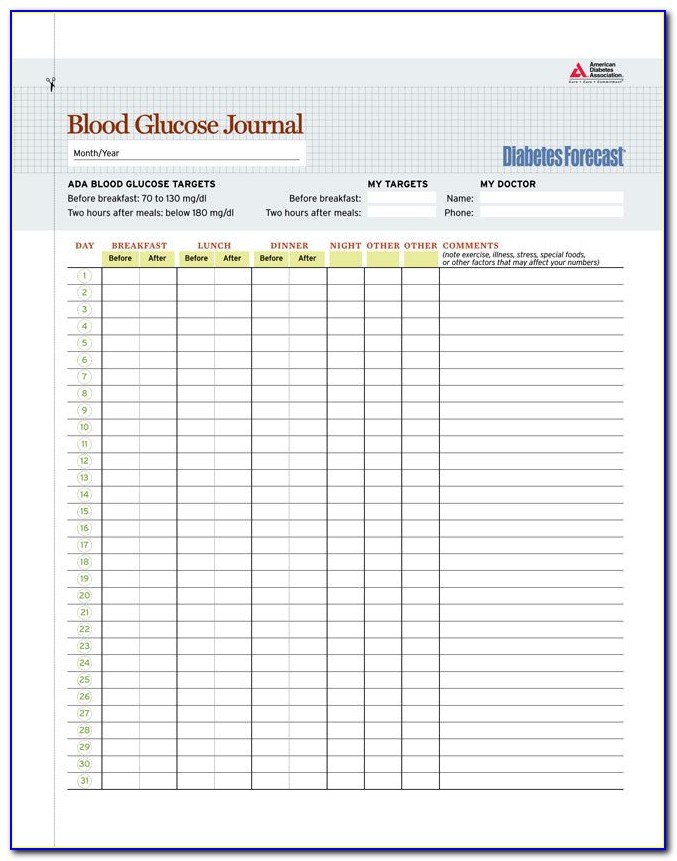 Blood Glucose Log Excel