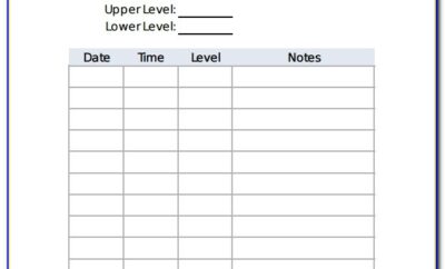 Blood Glucose Log Sheet Excel
