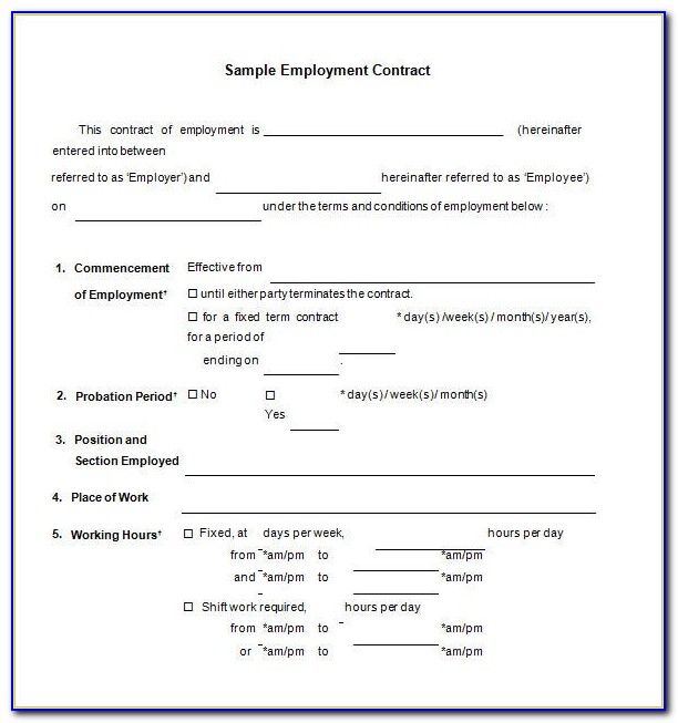 Employment Contract Template South Africa