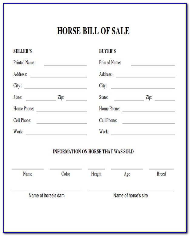 Horse Bill Of Sale Template Canada