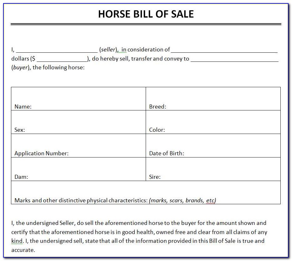 Horse Bill Of Sale Template Free