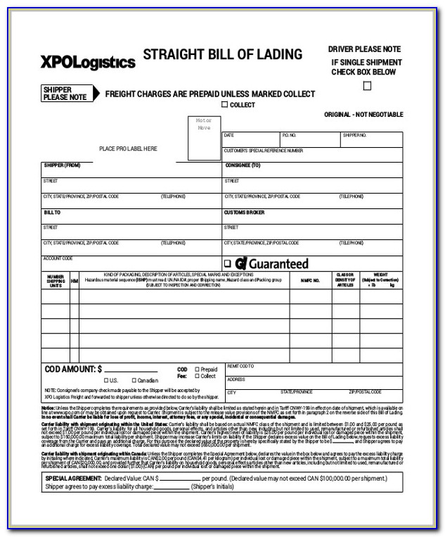 House Bill Of Lading Terms And Conditions Template