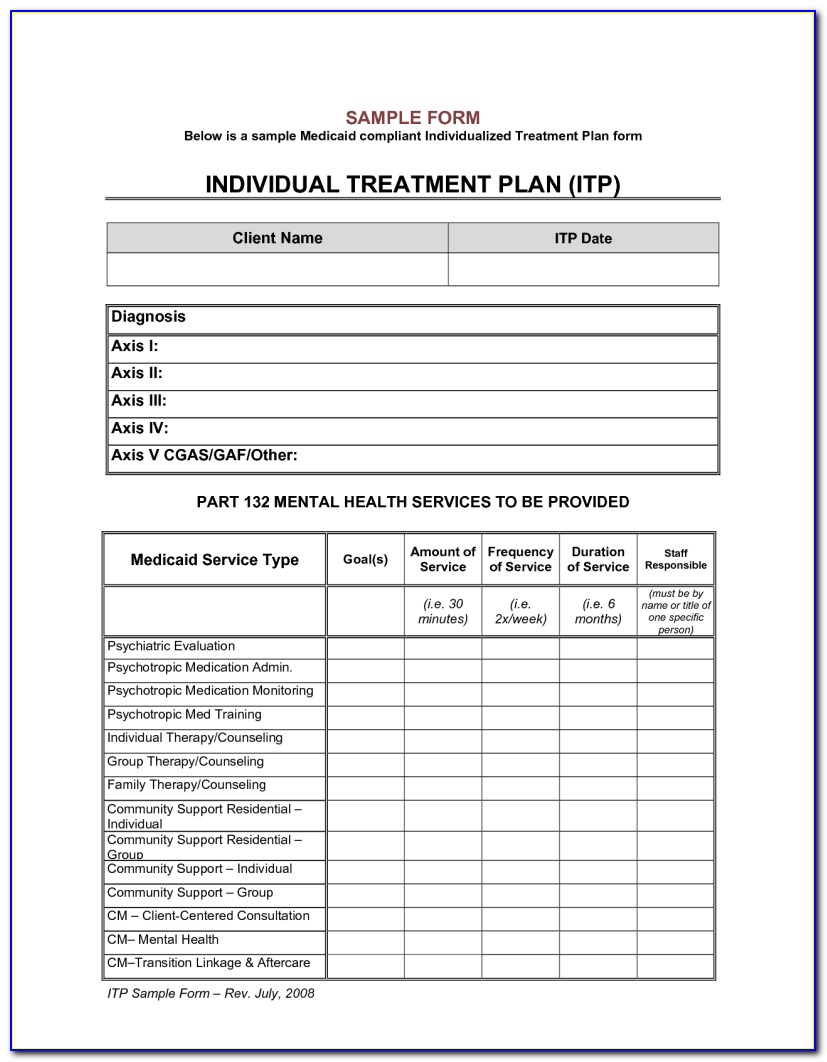 Mental Health Treatment Plan Template Software