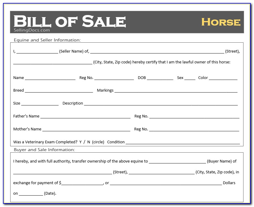 Simple Horse Bill Of Sale Template
