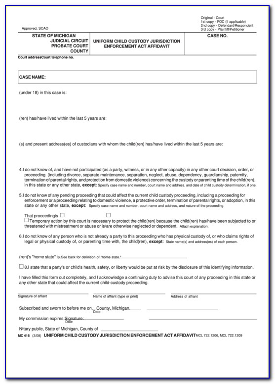 Affidavit For Child Custody Fill Out And Sign Printable Pdf Template