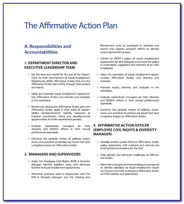 Affirmative Action Plan Template Massachusetts