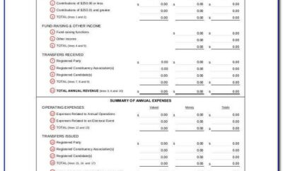 Annual Financial Statements Template Excel
