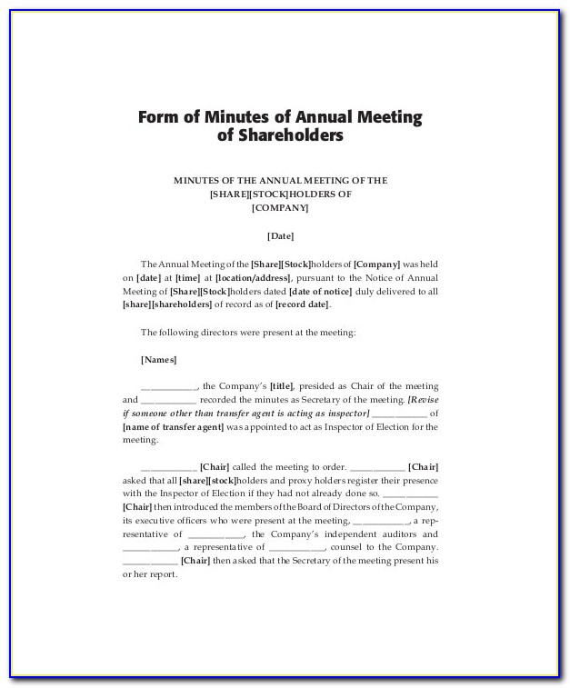 Annual General Meeting Minutes Example