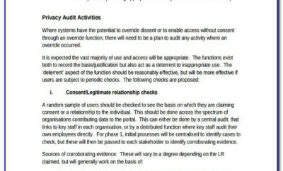 Annual Internal Audit Plan Example