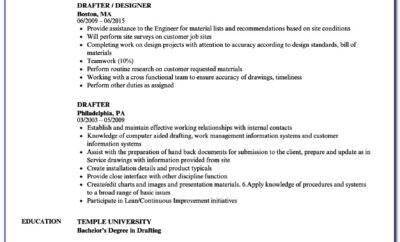 Architectural Drafting Resume Examples