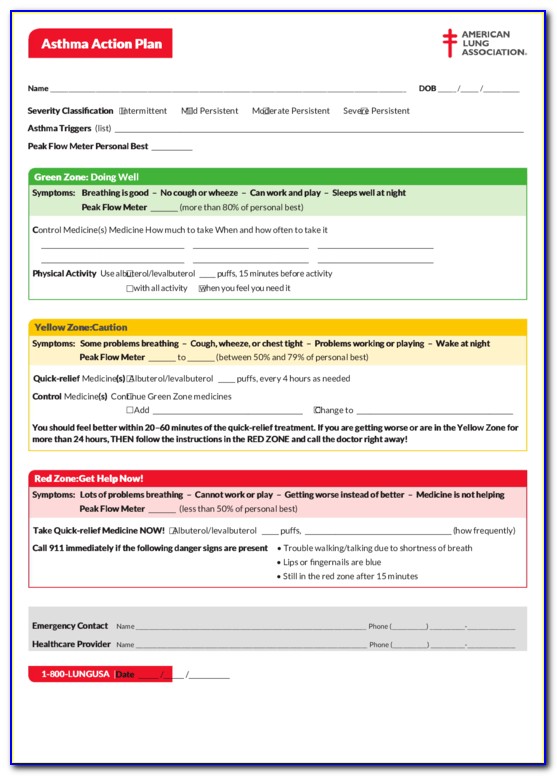 Asthma Action Plan Example Filled Out