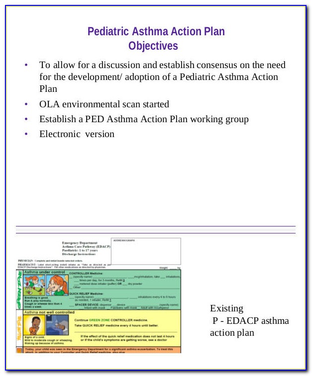 Asthma Action Plan Example