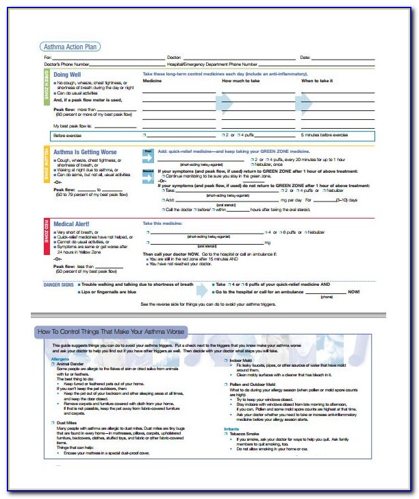 Asthma Action Plan Form For School Nyc