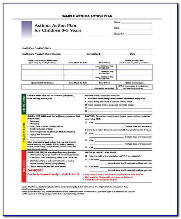 Asthma Risk Management Plan Example