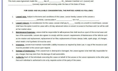 Auto Loan Contract Form