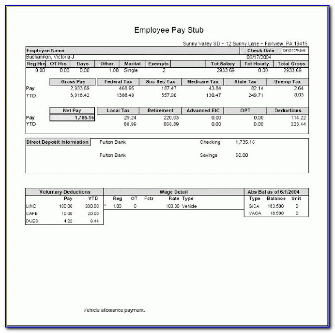 1099 Contractor Pay Stub Template