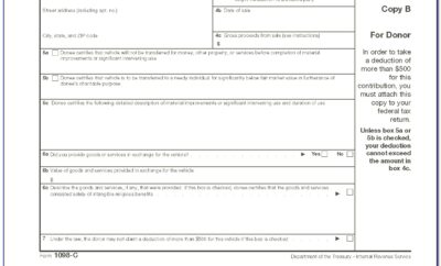 2011 Form 1096 Template