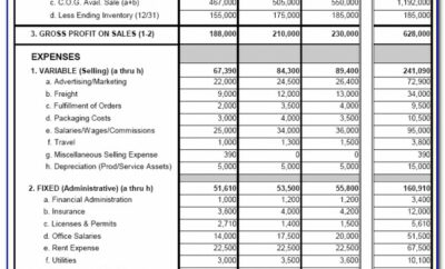 3 Year Income Projection Template