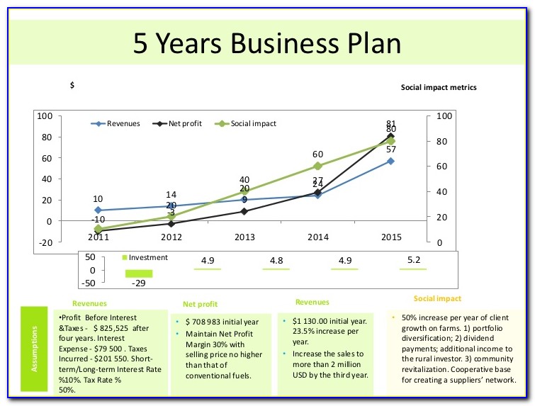 5 Years Business Plan Template