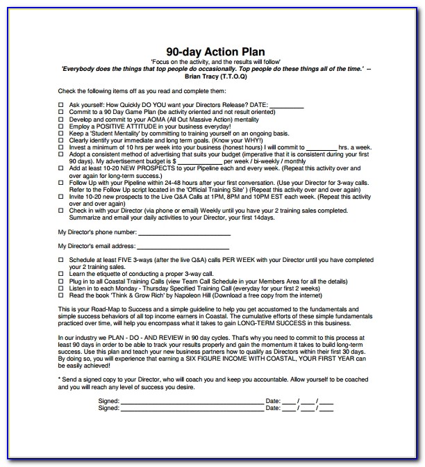 90 Day Sales Action Plan Sample