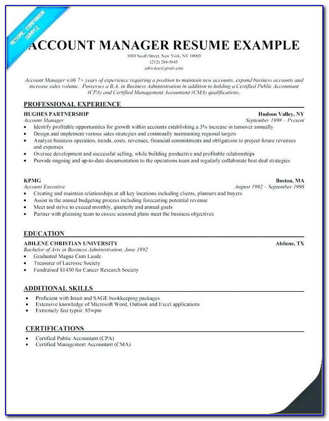 Account Executive Resume Format India