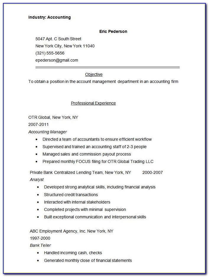 Accountant Experience Resume Format In Word