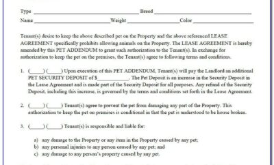 Addendum To Lease Agreement Template South Africa