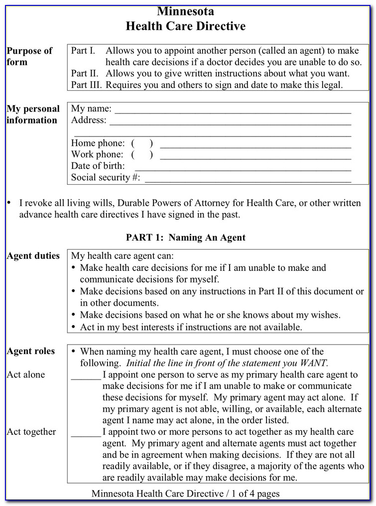Advance Care Directive Template Nsw