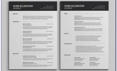 Attractive 2 Page Resume Templates Free Download