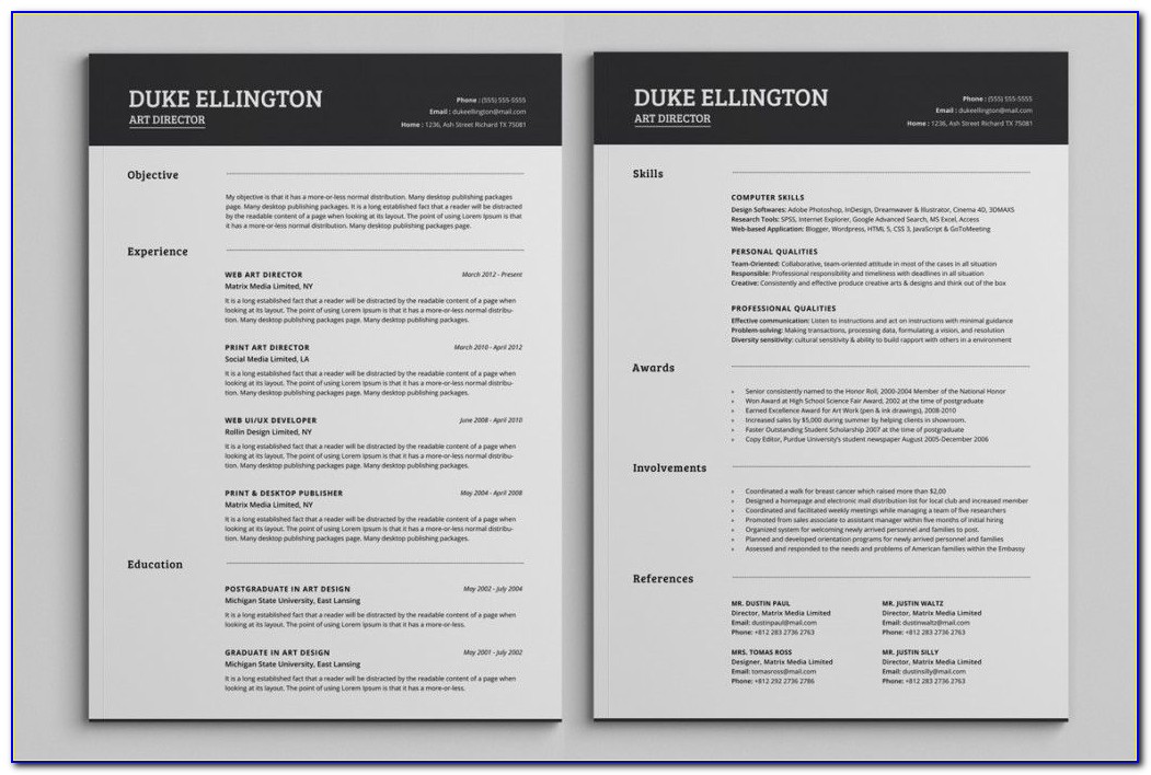 Attractive 2 Page Resume Templates Free Download