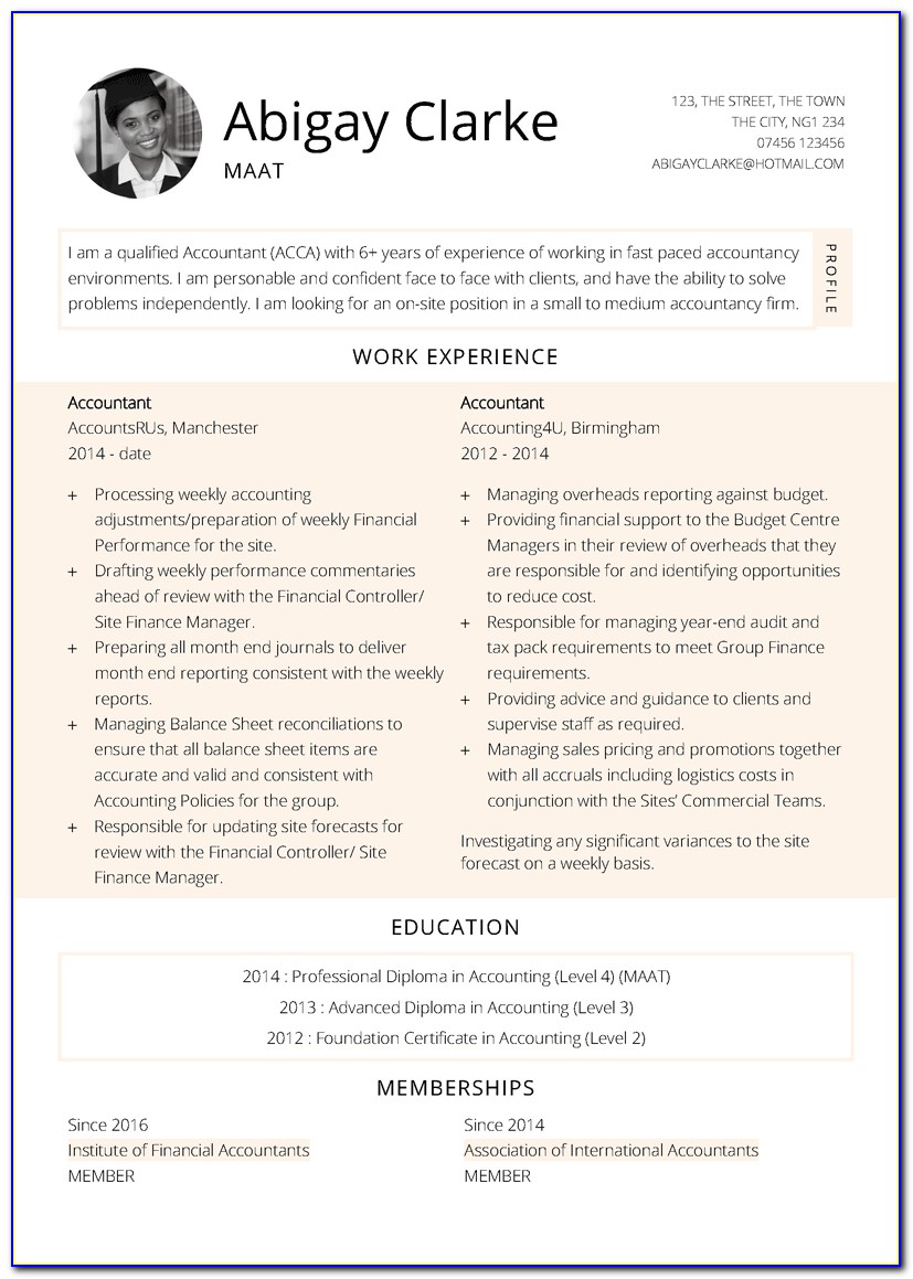 Download Accountant Cv Template Word