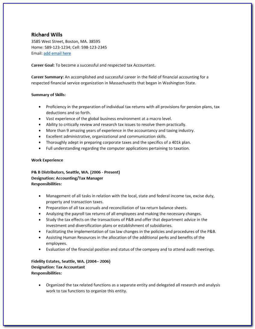Fresher Accountant Resume Format In Word